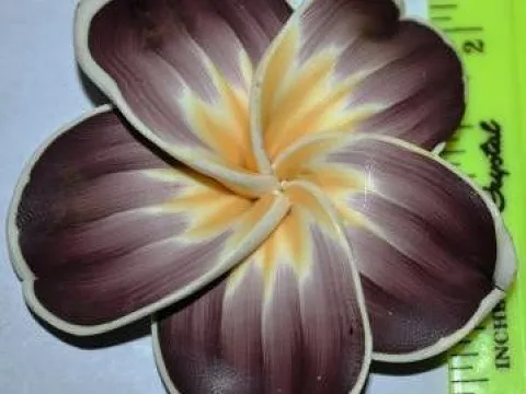 квітка фімо