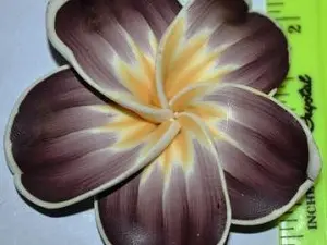 квітка фімо