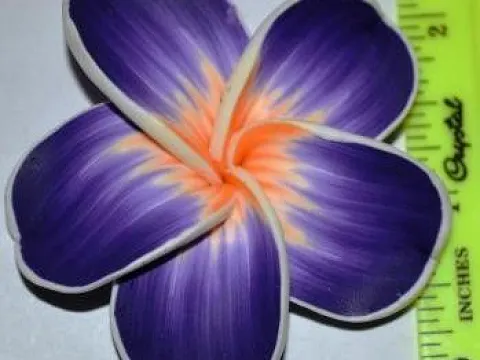 квітка фімо