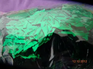 Паєтки листочки