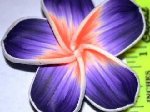 квітка фімо