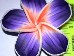 квітка фімо