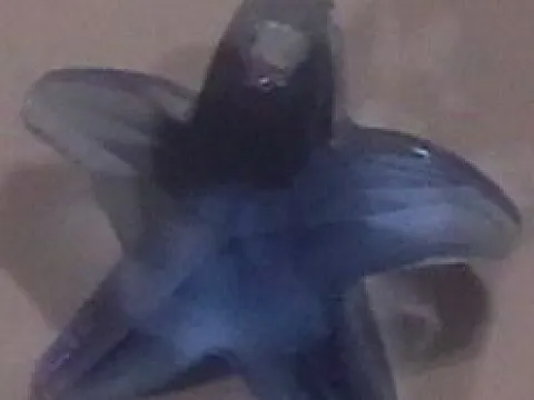 подвеска укр