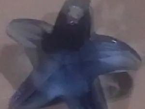 подвеска укр