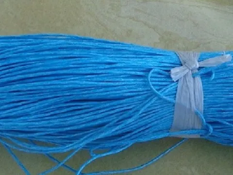 Шнур в пасмі