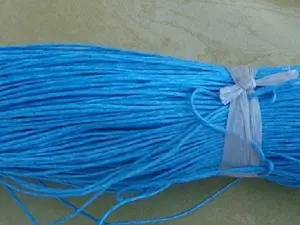 Шнур в пасмі