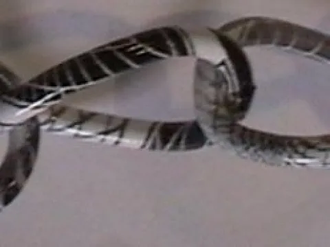 Цепь декоративная