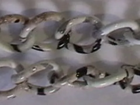 Цепь декоративная