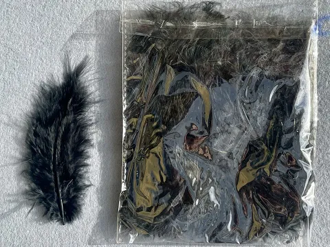 Перо пухнасте