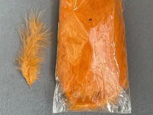 Перо пухнасте