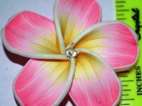 квітка фімо