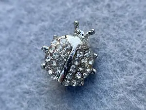 Розділювач Божа Корівка