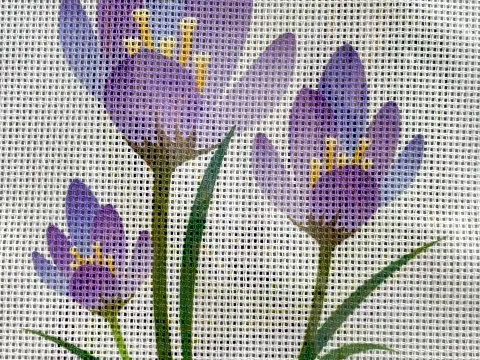 Виноградники укр