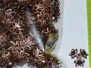 шапочка укр