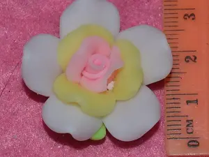 Троянда фімо