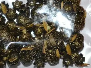 шапочка укр