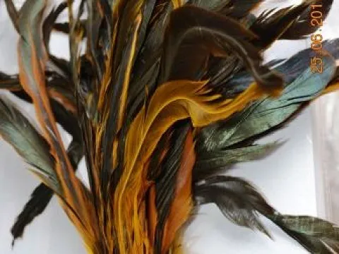 Пір'я півня