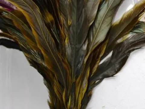 Пір'я півня