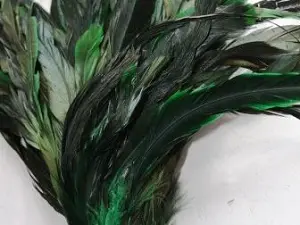 Пір'я півня