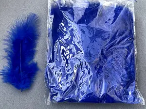 Перо пухнасте