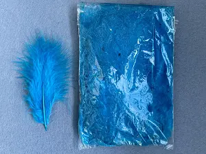 Перо пухнасте