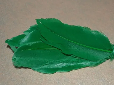 Перо на ніжці