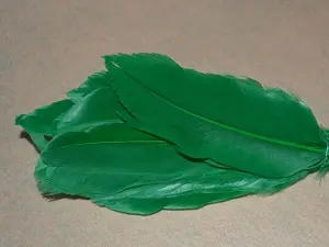 Перо на ніжці