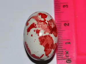 керамика укр