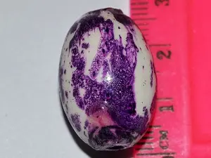 керамика укр