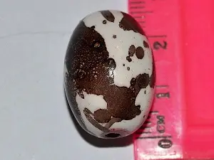 керамика укр