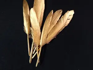 Перо кольорове