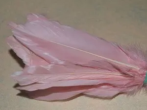 Перо на ніжці