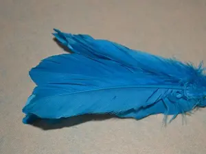 Перо на ніжці