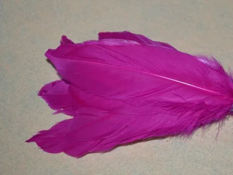 Перо на ножке