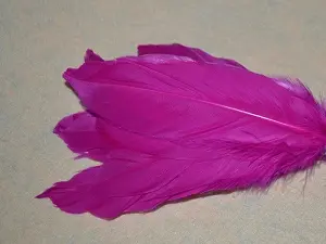 Перо на ніжці