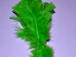 Перо на ніжці