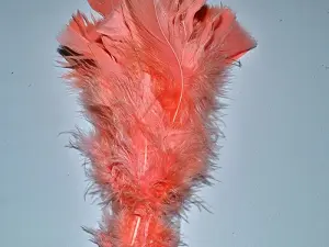 Перо на ніжці