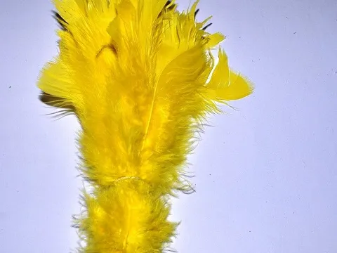 Перо на ніжці