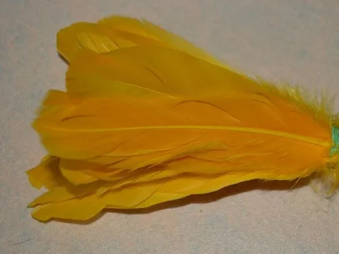 Перо на ножке