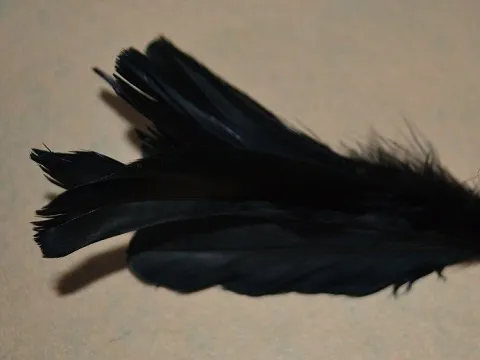 Перо на ніжці