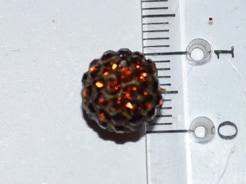 шамбала укр