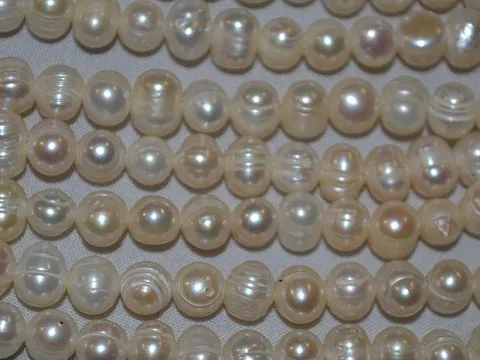 жемчуг речной укр