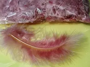 Перо пухнасте