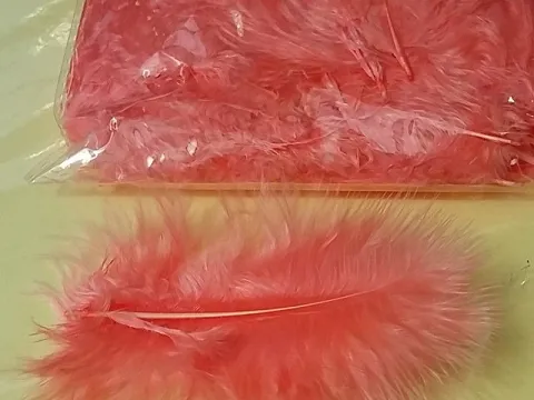 Перо пухнасте