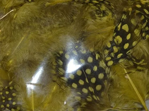 Перо в горошок