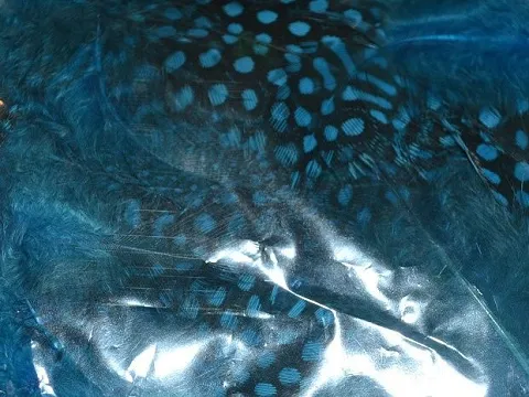 Перо в горошок