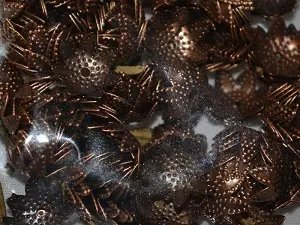 шапочка укр