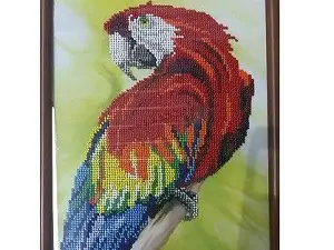 Попугай укр