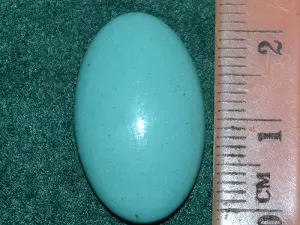 Кабошон бірюза
