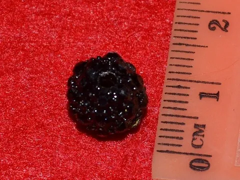 шамбала укр